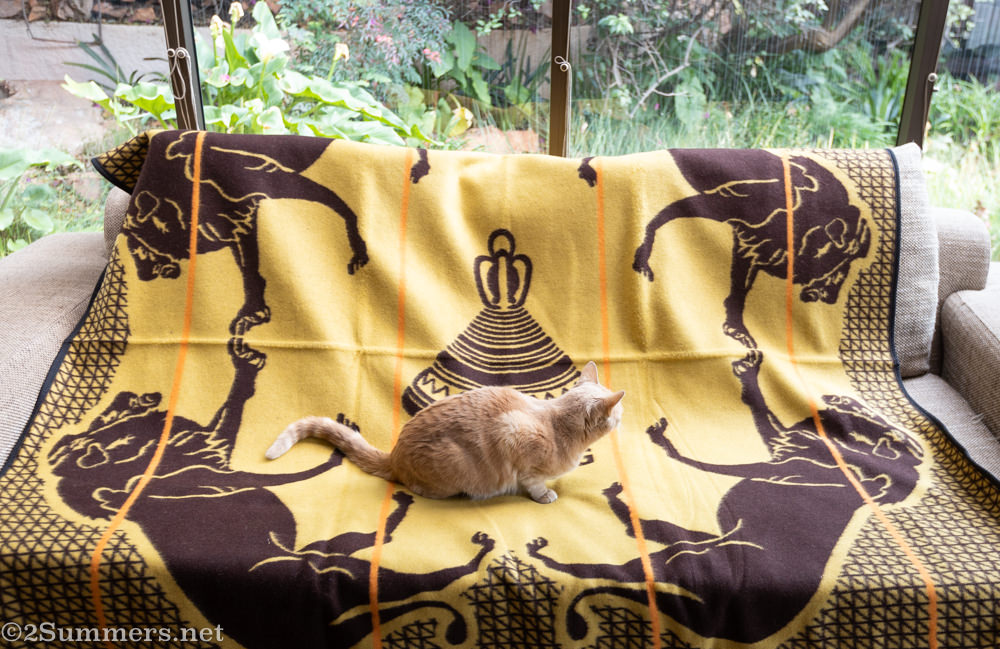 Trixie on Heather’s Basotho blanket
