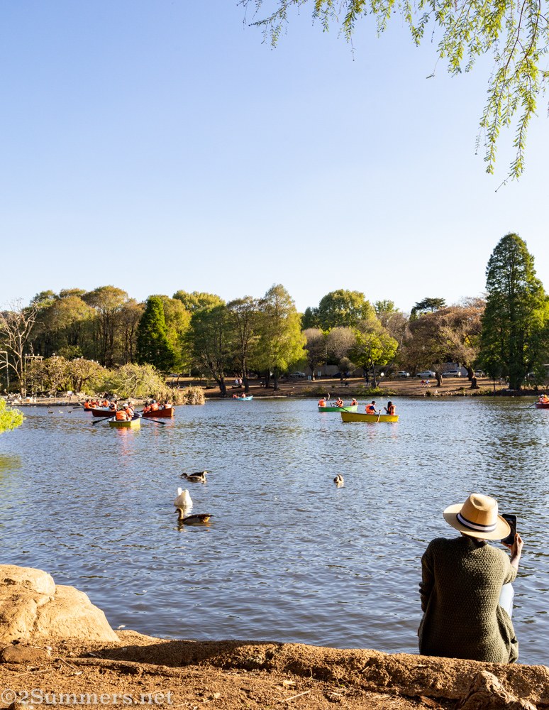 People and geese at the lake