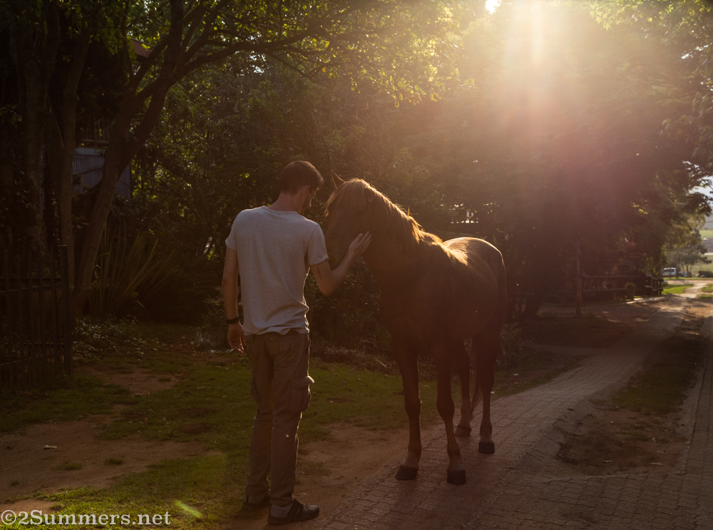 Jay and a horse