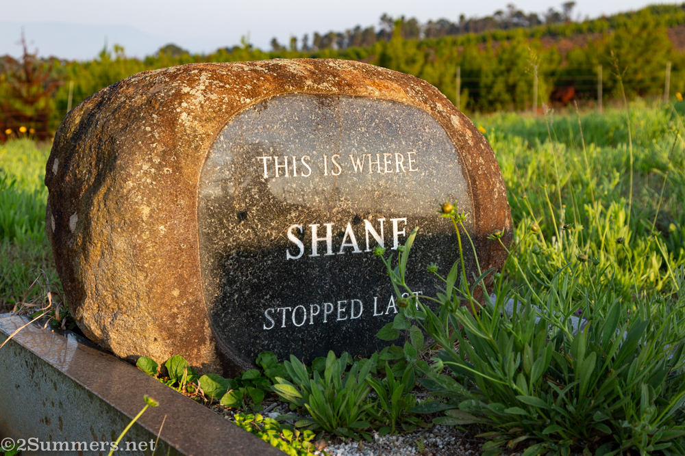 Shane’s grave
