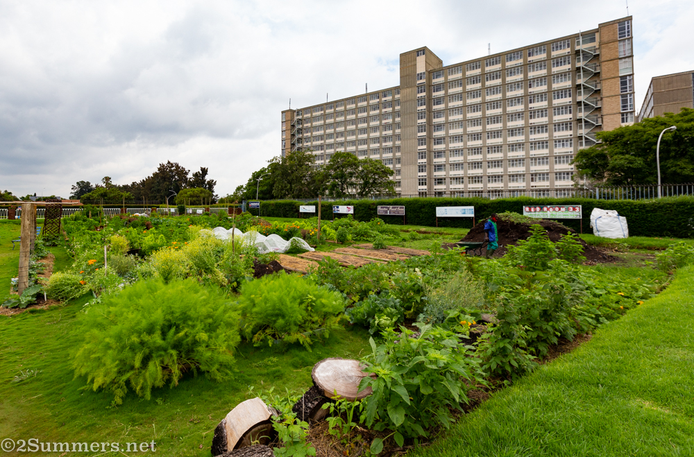 Food exchange at Bedfordview