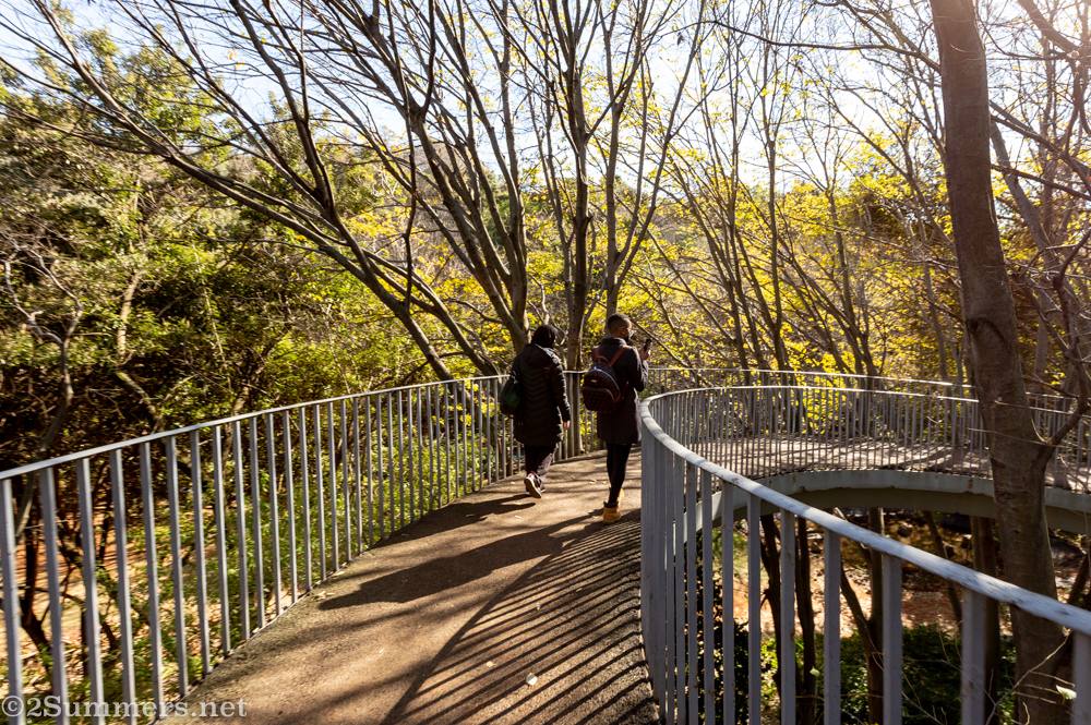Visiting the Wilds With Joburg Tourism