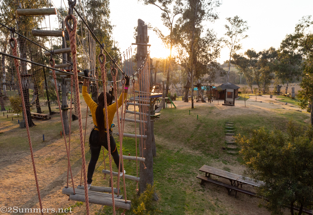 Sunset at Acrobranch