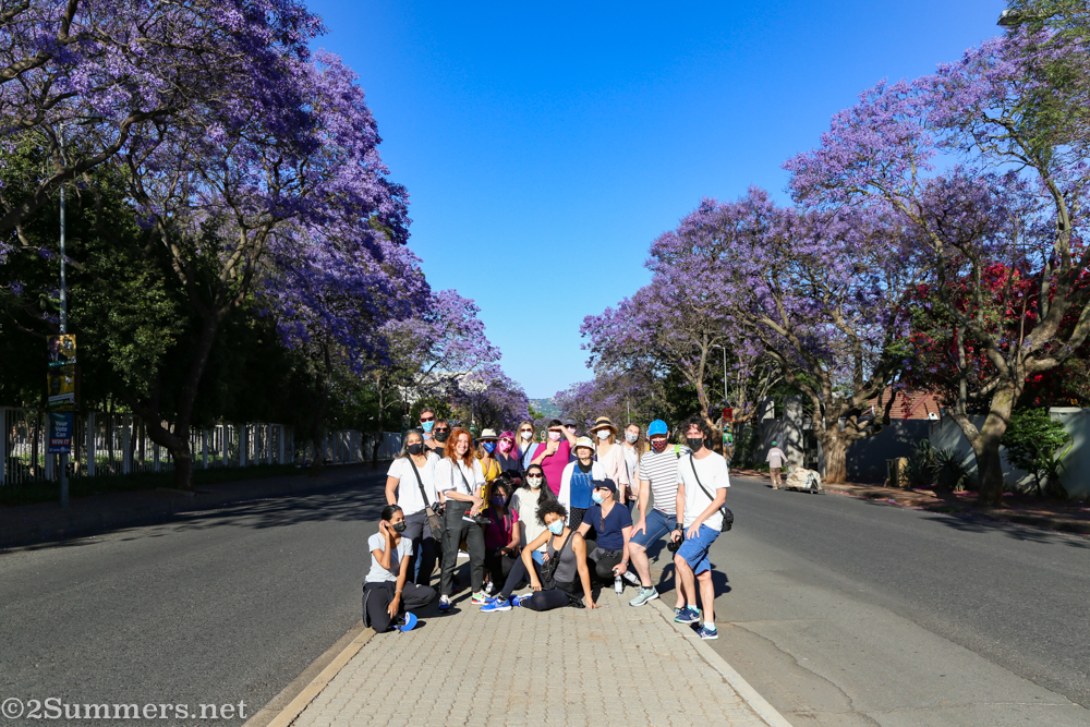 Jacaranda walkers in Rosebank