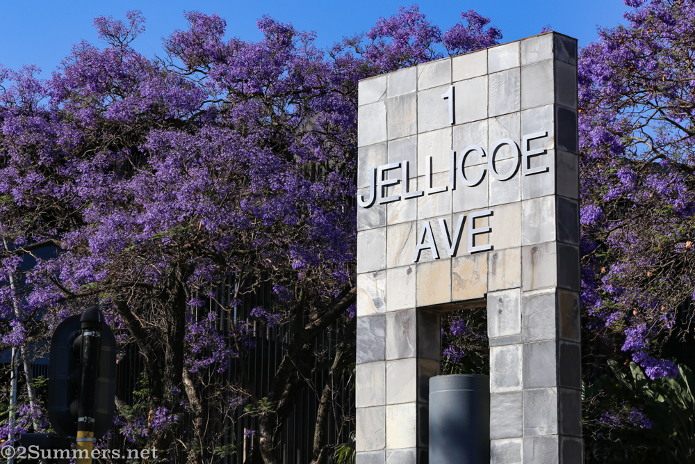 Jellicoe Avenue sing and jacarandas