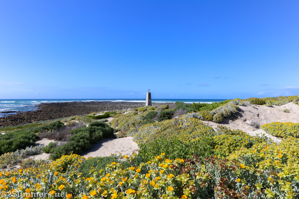 Roman beach and flowers