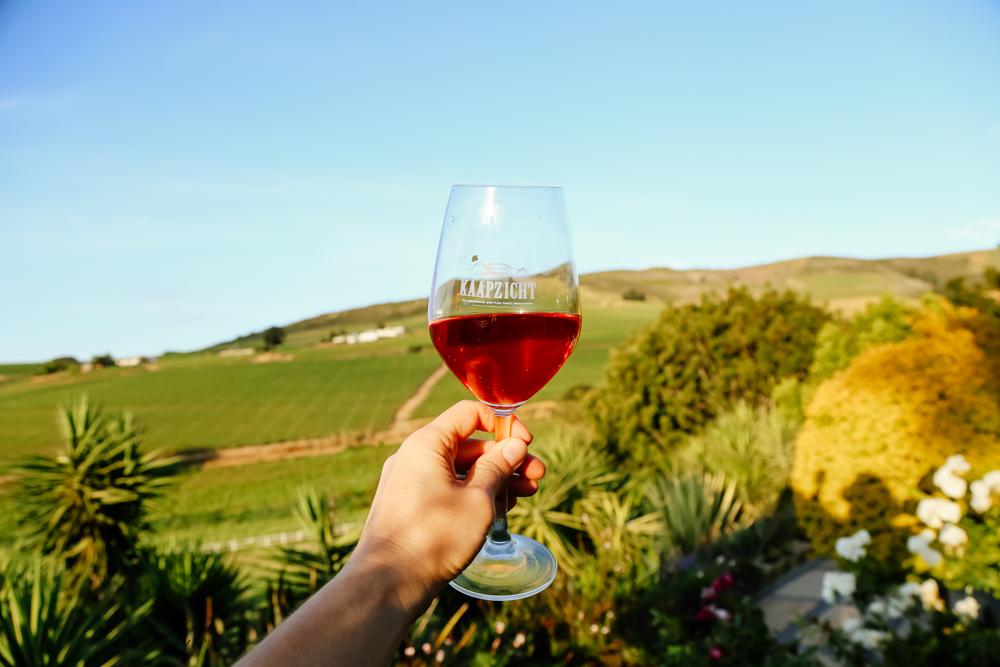 Cheers from Stellenbosch