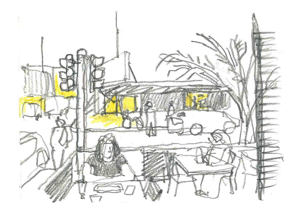 Thorsten’s sketch of Syrian Rose