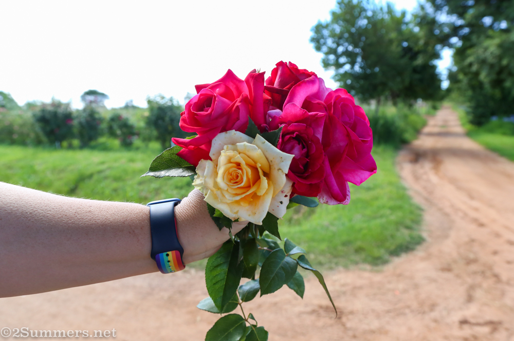Rose bouquet at Ludwig’s