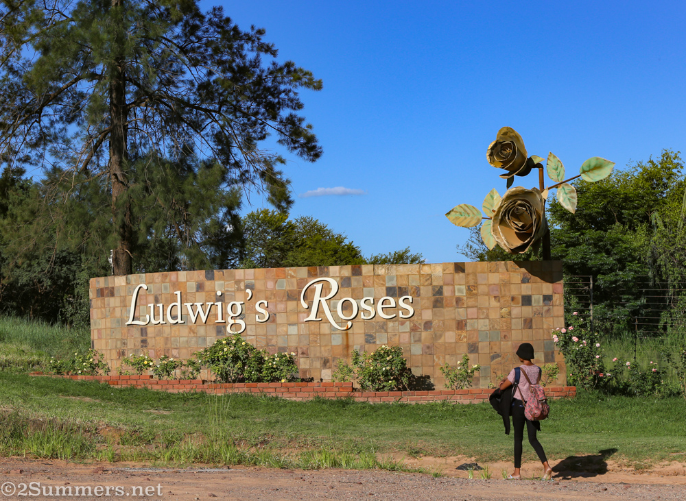 Entrance to Ludwig’s Roses north of Pretoria