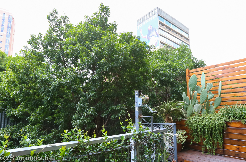 View from the top of the JFF ladder