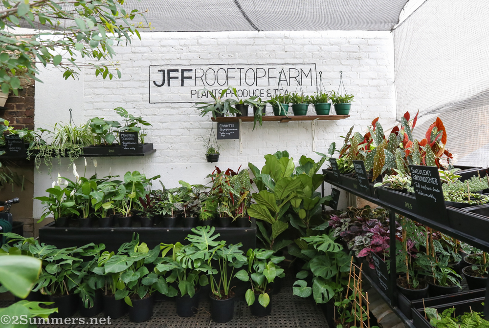 JFF Rooftop Farm