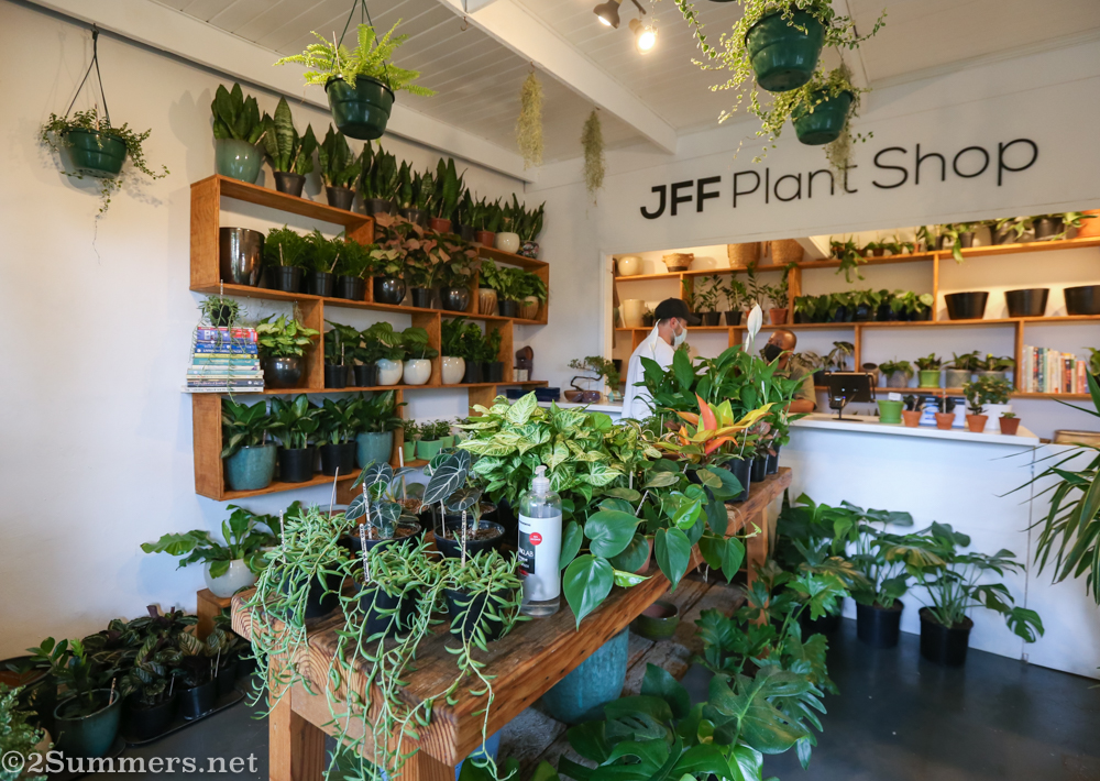 Inside the JFF Plant Shop