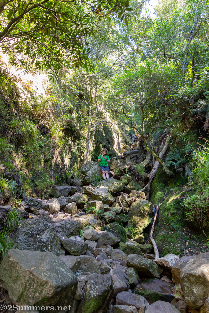Thorsten sketching in Skeleton Gorge