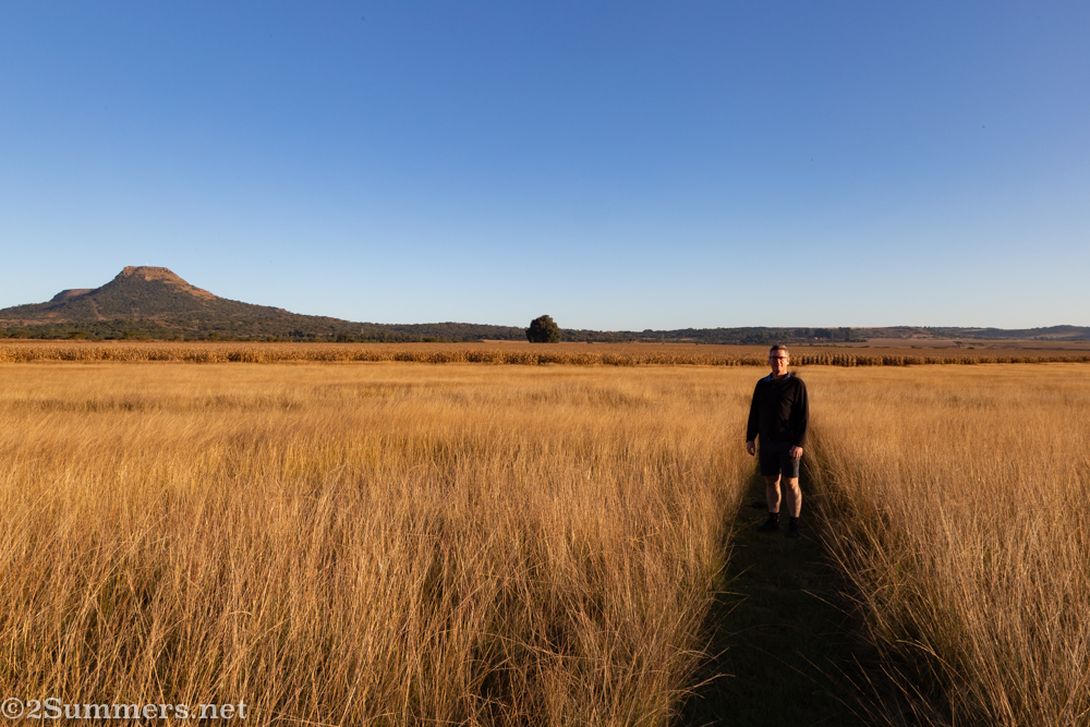 Cornfields at Sneezewood