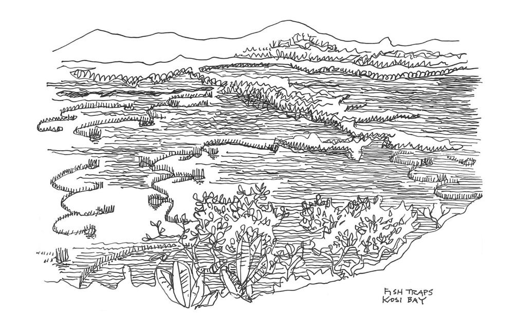 Thorsten fish trap sketch