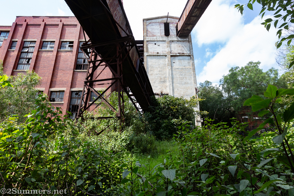 The overgrown Johannesburg Gas Works