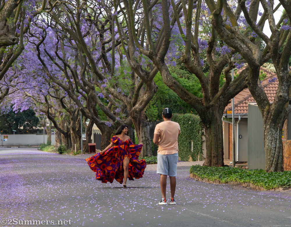 Jacaranda photoshoot in progress