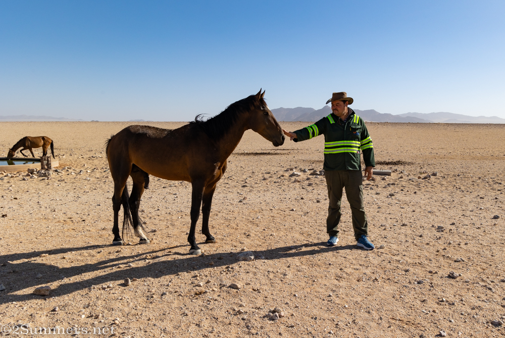 Andrew and wild horse