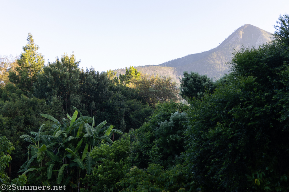 View if Tsitsikamme from Storms River airbnb