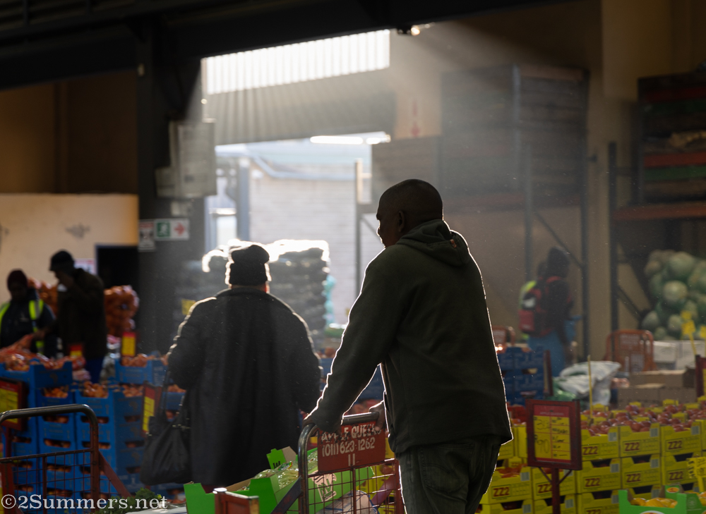 Apple Queens in the early morning