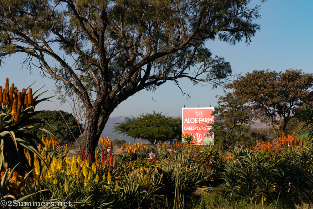 The Aloe Farm