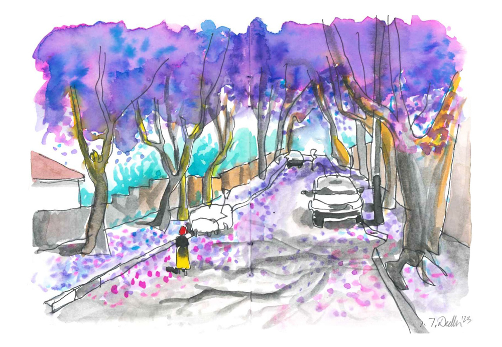 Thorsten jacaranda walk