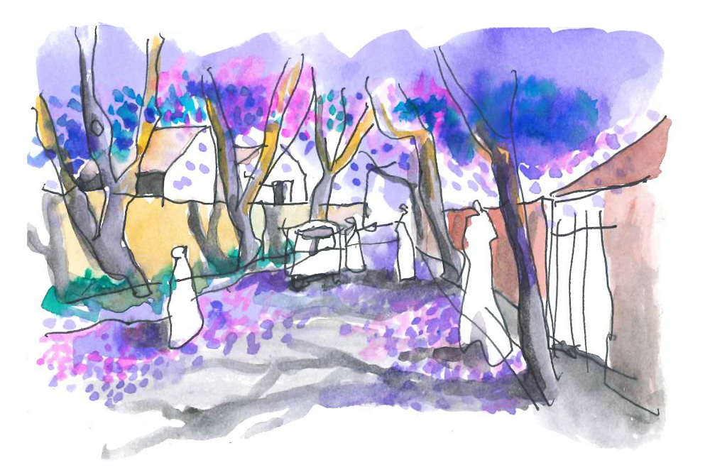 Thorsten jacaranda sketch