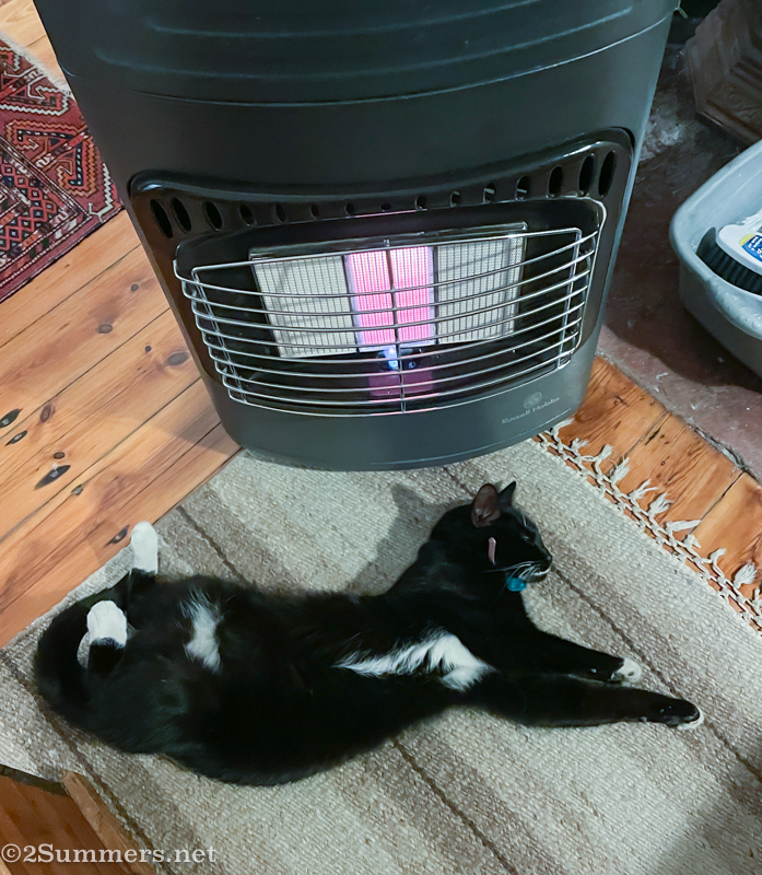 Brixton in front of the heater