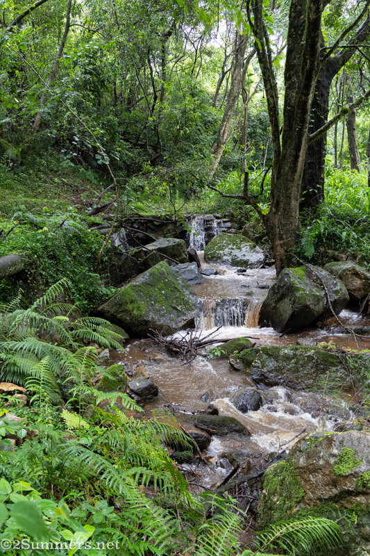 River in Magoebaskloof