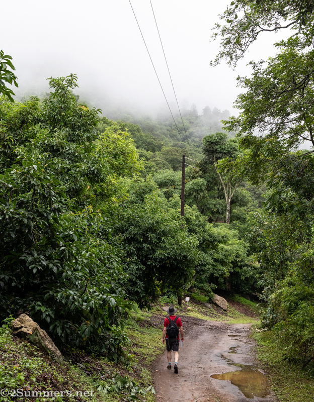 Thorsten hiking at Tupelo Honey Farm