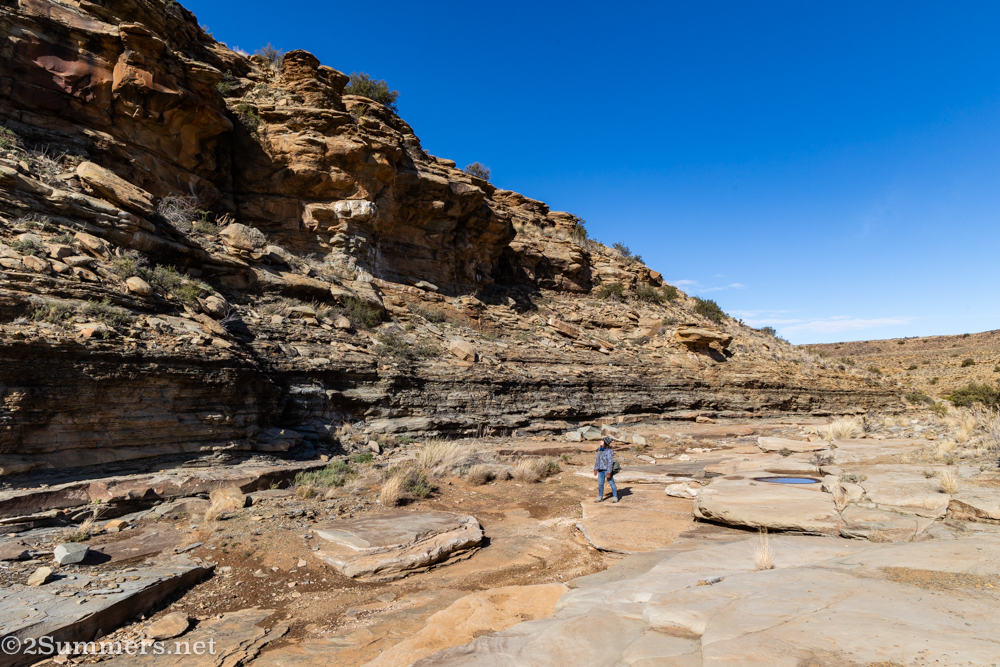 Heather in the riverbed