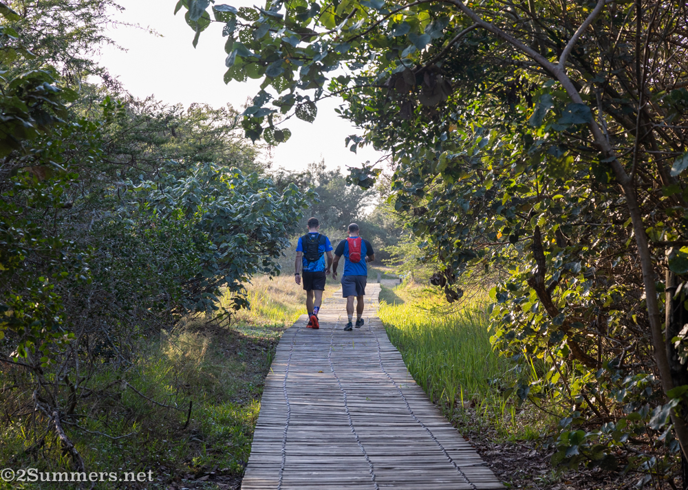 Estuary boardwalk