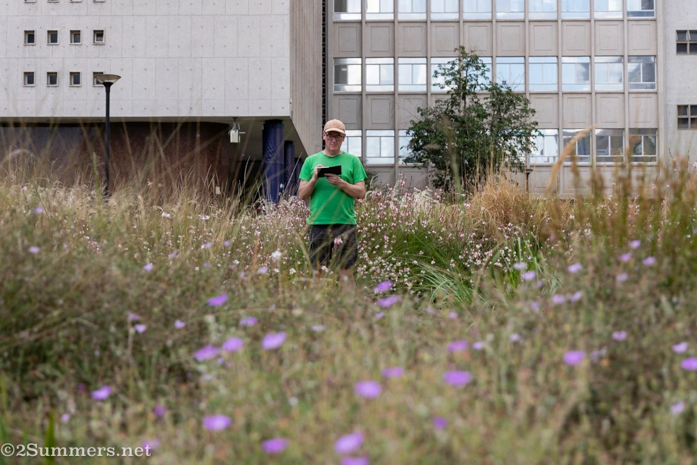 Thorsten sketching among the flowers