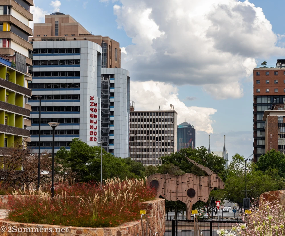 Downtown Braamfontein with the park in the foreground
